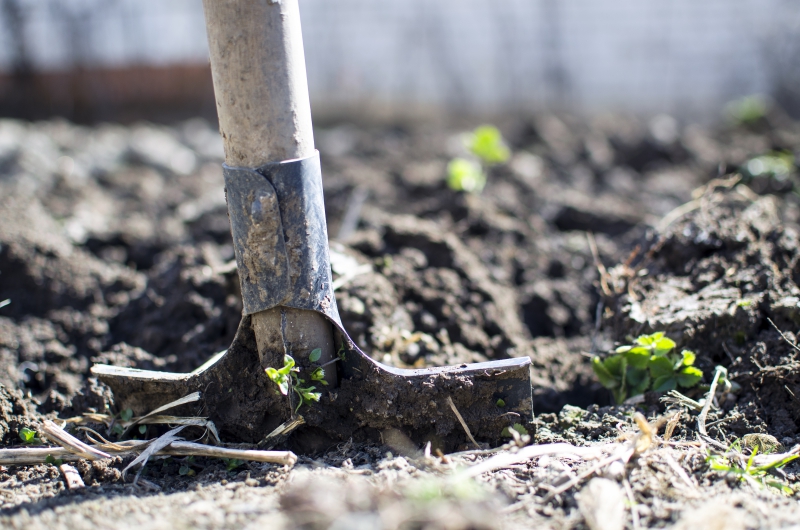 jardinerie-MOUANS SARTOUX-min_equipment-2047314